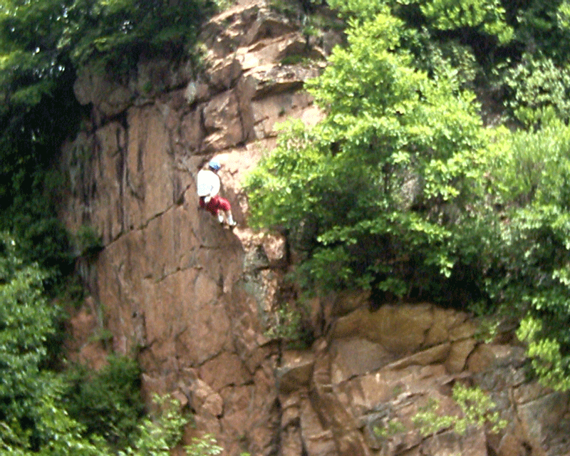 沈阳种植牙多少钱
