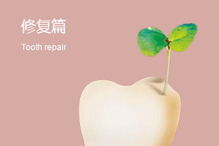 口腔修复